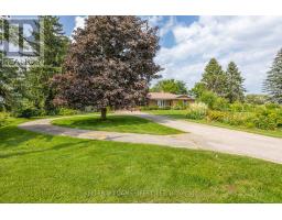 17988 THORNDALE ROAD - 3