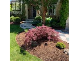 38 BUTTERNUT GROVE - 35