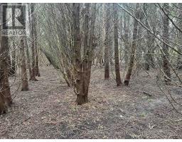 558 CRUMLIN SIDE ROAD - 23