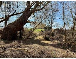 558 CRUMLIN SIDE ROAD - 41