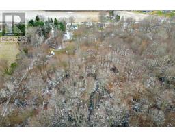 9678 GRAHAM ROAD - 46