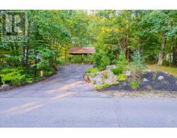 10248 PINETREE DRIVE - 3