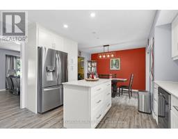 245 CHITTICK CRESCENT - 16