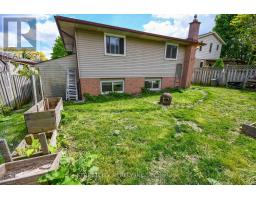 295 WALMER GROVE - 42