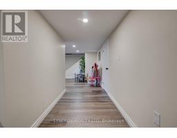 63 EARLE STREET - 29