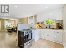 21 BALMORAL AVENUE - 14