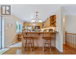 56 ROSSITER ROAD - 16