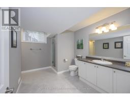 717 SILVERFOX PLACE E - 31