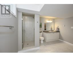 717 SILVERFOX PLACE E - 32