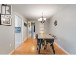 17 CARRIE CRESCENT - 29
