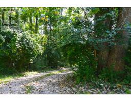 65 COVE ROAD - 12