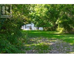 65 COVE ROAD - 23