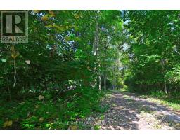 65 COVE ROAD - 26