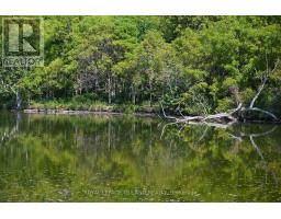 65 COVE ROAD - 28
