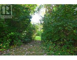65 COVE ROAD - 4
