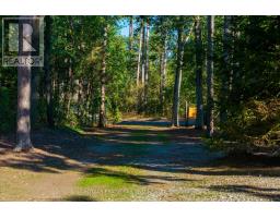 10395 PINETREE DRIVE - 45