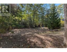 10300 BEACH O PINES ROAD - 31