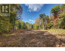 2564 WOODHULL ROAD - 3