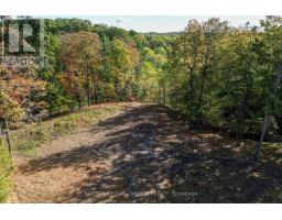 2564 WOODHULL ROAD - 33