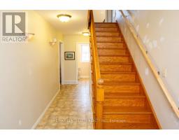 50589 DINGLE LINE - 14