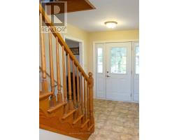 50589 DINGLE LINE - 15