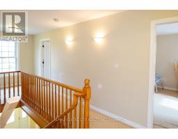 50589 DINGLE LINE - 22