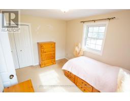 50589 DINGLE LINE - 23