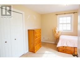 50589 DINGLE LINE - 24