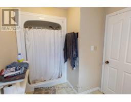 50589 DINGLE LINE - 41