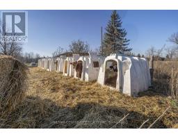 1177 BEITZ ROAD - 20