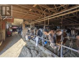 1177 BEITZ ROAD - 24