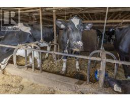 1177 BEITZ ROAD - 26