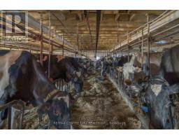 1177 BEITZ ROAD - 28