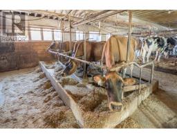 1177 BEITZ ROAD - 29