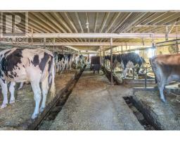 1177 BEITZ ROAD - 30