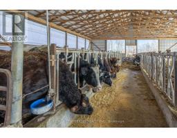 1177 BEITZ ROAD - 37