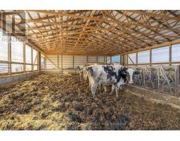 1177 BEITZ ROAD - 38