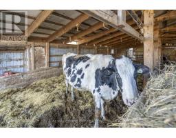 1177 BEITZ ROAD - 44