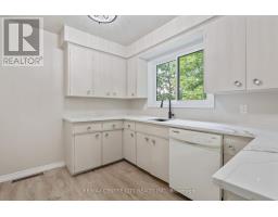 187-189 TAYLOR STREET - 16