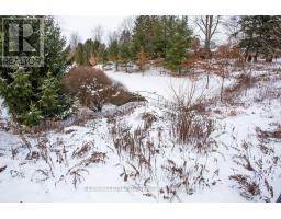 12 PEACH TREE BOULEVARD - 47