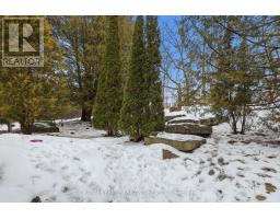 584532 BEACHVILLE ROAD - 36