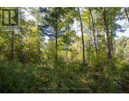 22480 TROOPS ROAD - 10