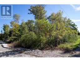 22480 TROOPS ROAD - 2