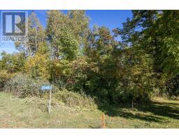 22480 TROOPS ROAD - 7