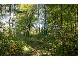 22480 TROOPS ROAD - 8