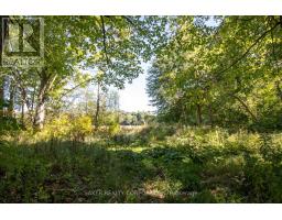 22480 TROOPS ROAD - 9