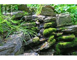 253 ELGINFIELD ROAD - 24