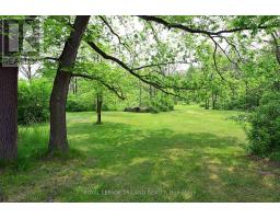 253 ELGINFIELD ROAD - 25