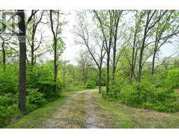 253 ELGINFIELD ROAD - 26