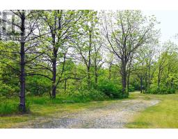 253 ELGINFIELD ROAD - 27